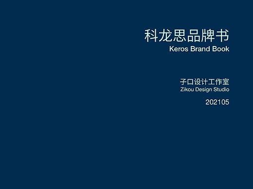 科龙思品牌VI手册