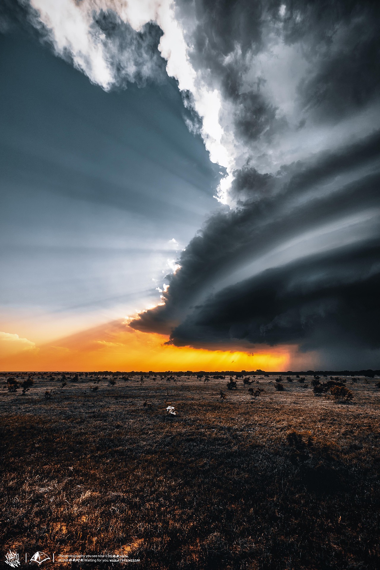 风卷残云/tornado