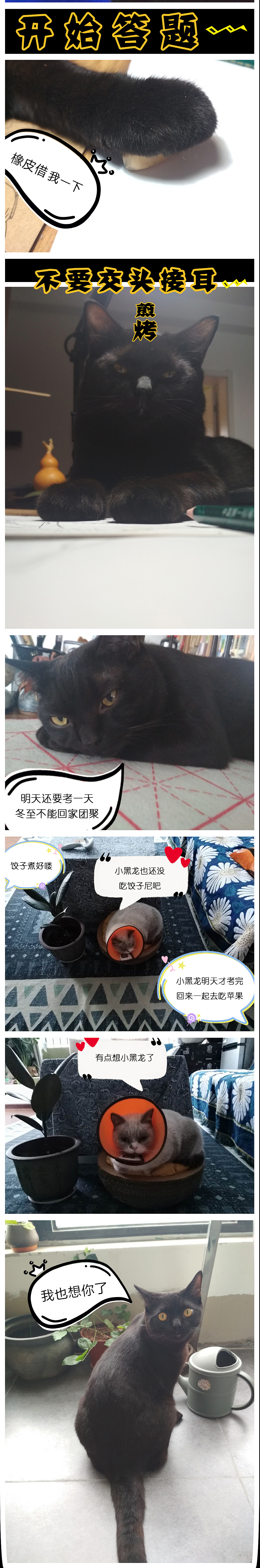 《猫咪通话》-冬至