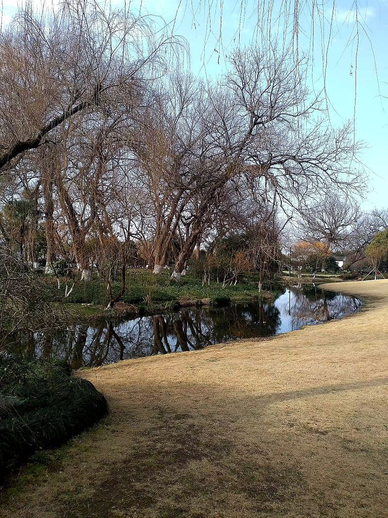 杭州.柳浪闻莺公园（2月打卡）（图ZMzY0Mjk3NTM2） - 风光摄影 - 站酷设计师东逛西摄原创素材 - 站酷ZCOOL
