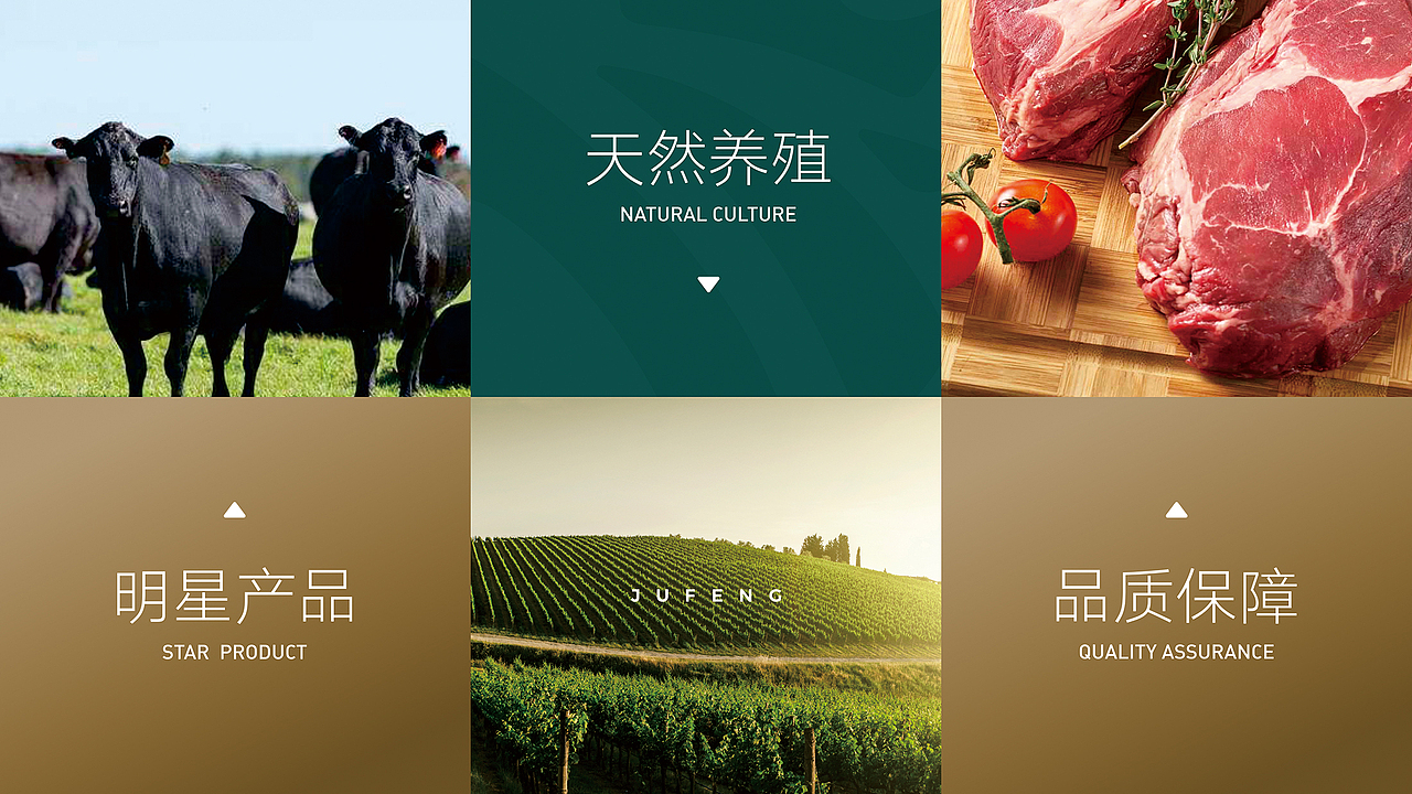 巨峰农业丨LOGO设计方案（图ZMjE3MjI0MDk2） - Logo - 站酷设计师郭比比原创素材 - 站酷ZCOOL
