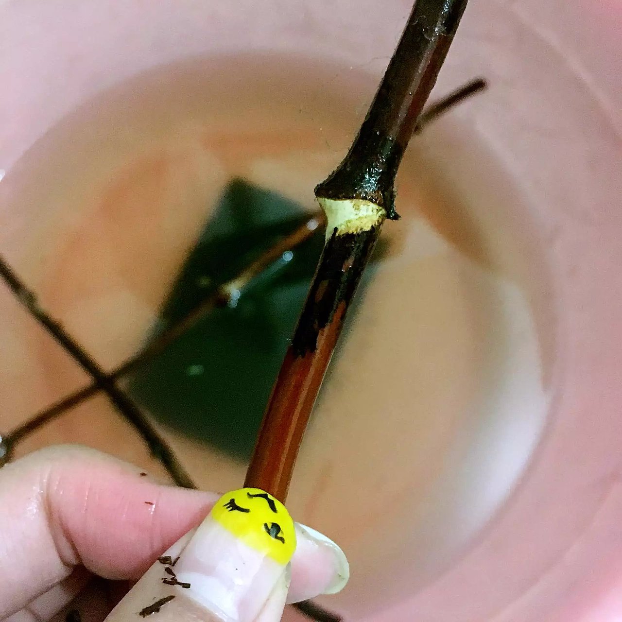 我的手工鸡血藤