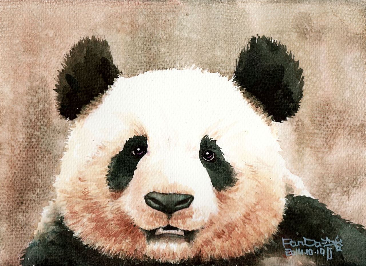 熊猫写意动物画国画0030图片素材-编号27081390-图行天下