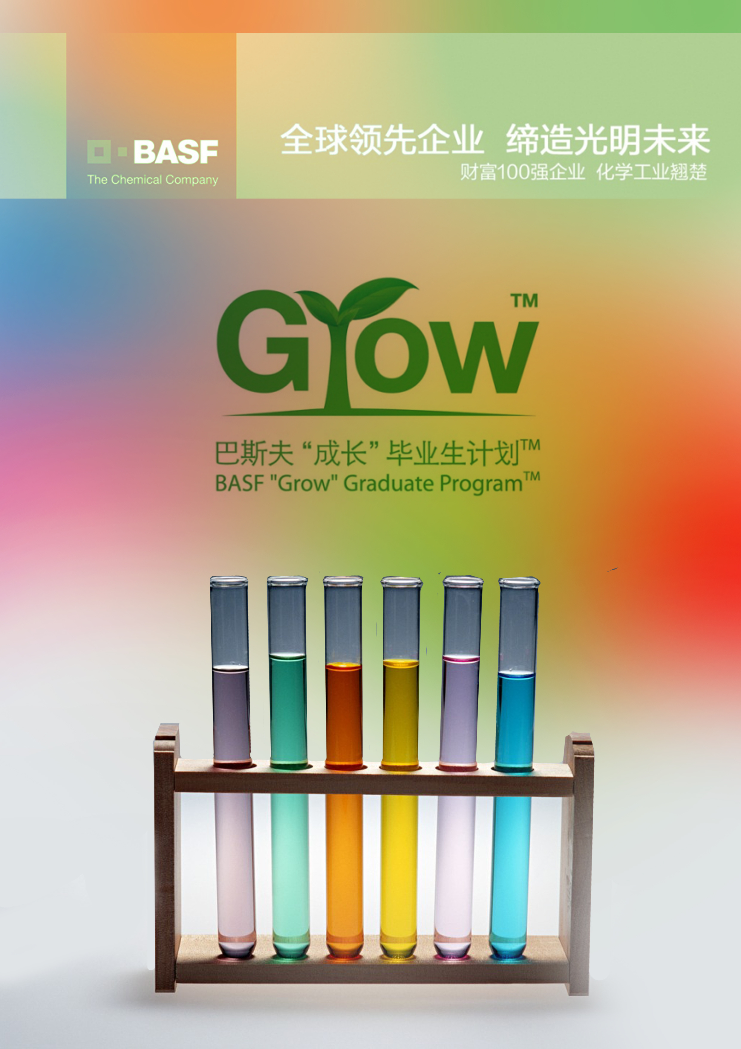 巴斯夫毕业生成长计划海报