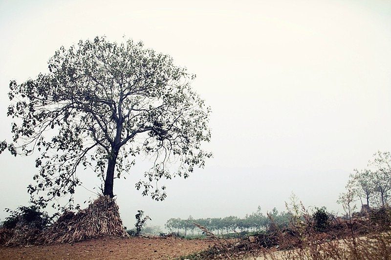 【转山 2012 】 骑车 登山 游记