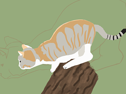 一只小猫
