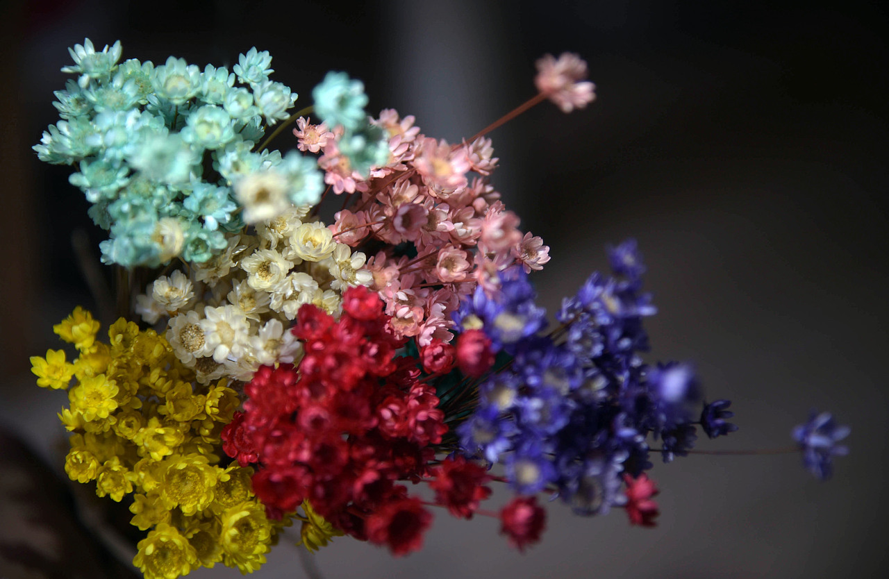 干花勿忘我 薰衣草 小雏菊 满天星，（图ZNDM0NzE5MDQ=） - 产品摄影 - 站酷设计师鱼头疼原创素材 - 站酷ZCOOL