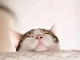 面包机操作视频