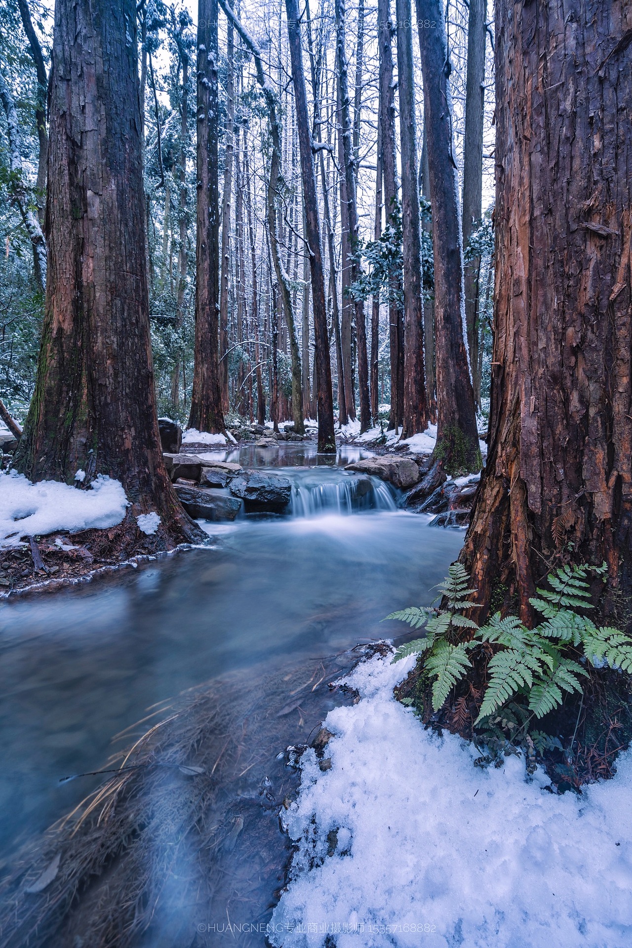 2018杭州雪景专辑