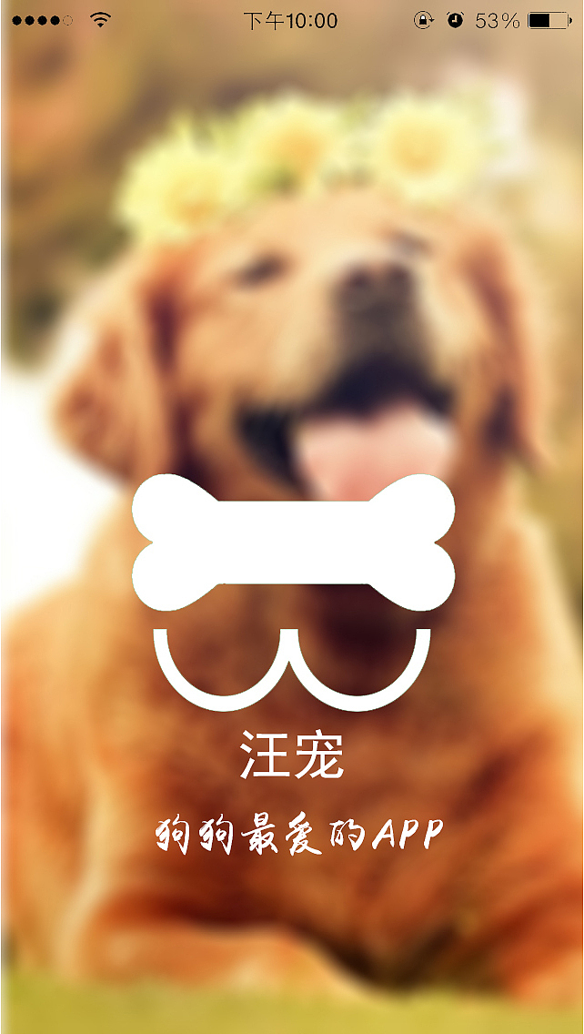 汪宠APP
