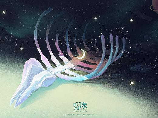 星辰大海｜鲸落星辰