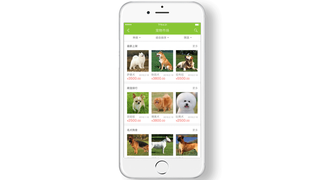 APP_宠物服务（图ZNDkyNTE4NjQ=） - APP界面 - 站酷设计师HCHWDWS原创素材 - 站酷ZCOOL