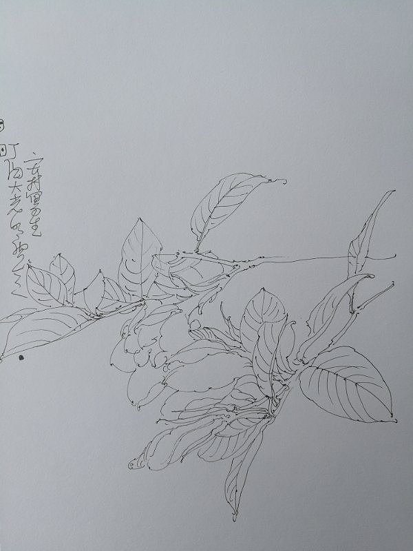 大光游记写生安徽（图ZODM0MzI5NTY=） - 绘画 - 站酷设计师大光明王原创素材 - 站酷ZCOOL