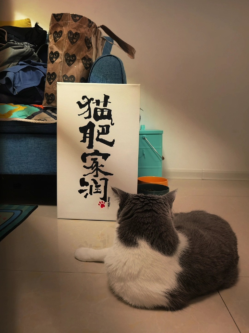 猫肥家润