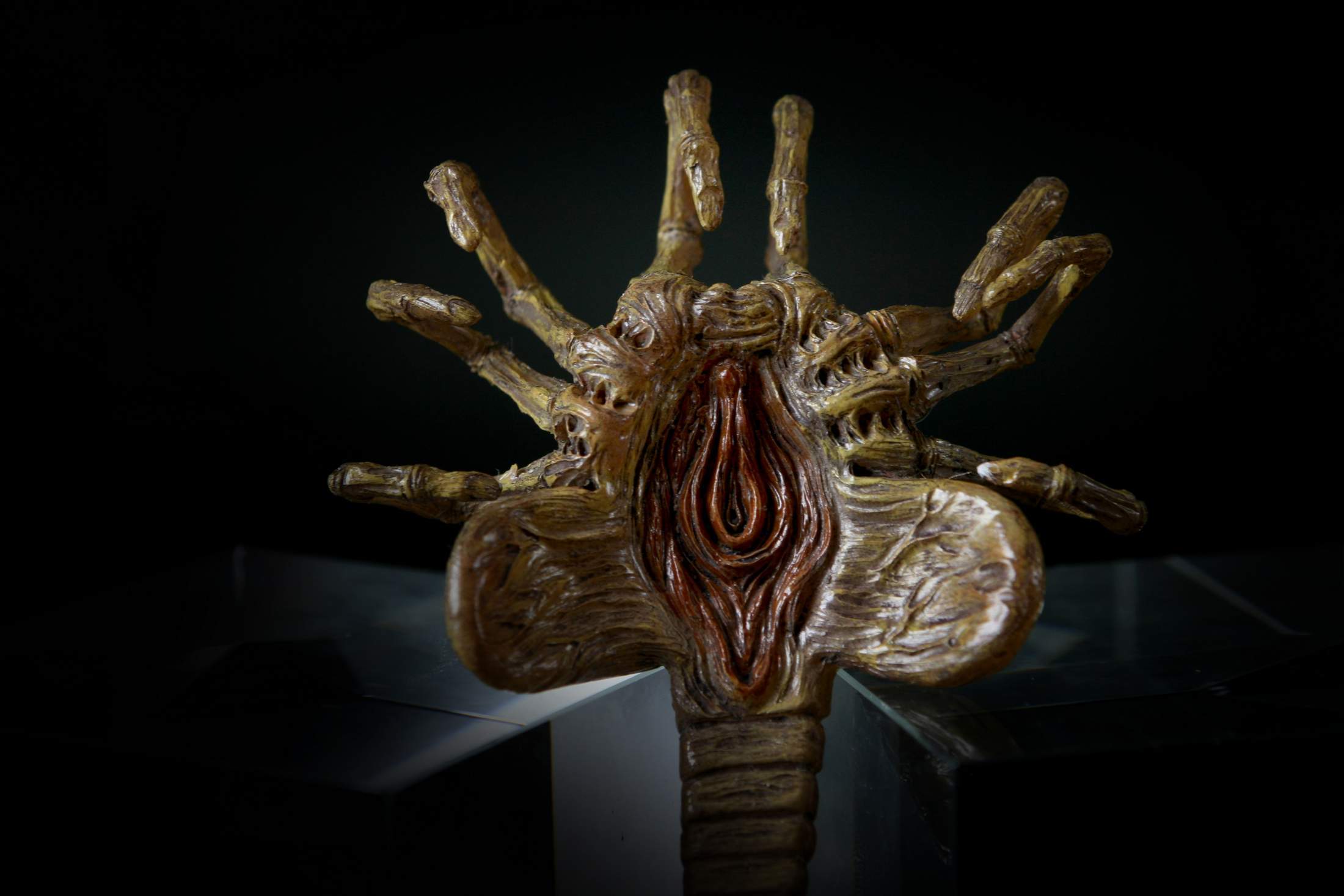 眉间白火TAN开箱-TWOFACE 寄生体幼虫 1\/6