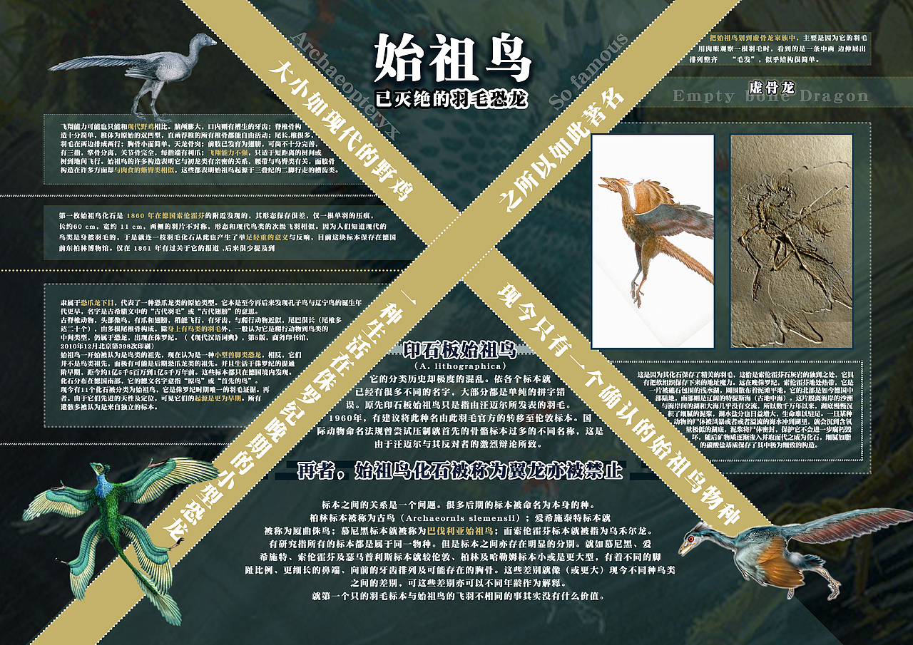 探秘古生物图书版式设计（图ZMjA3MzkyNzY0） - 书籍/画册 - 站酷设计师哈士芬奇原创素材 - 站酷ZCOOL