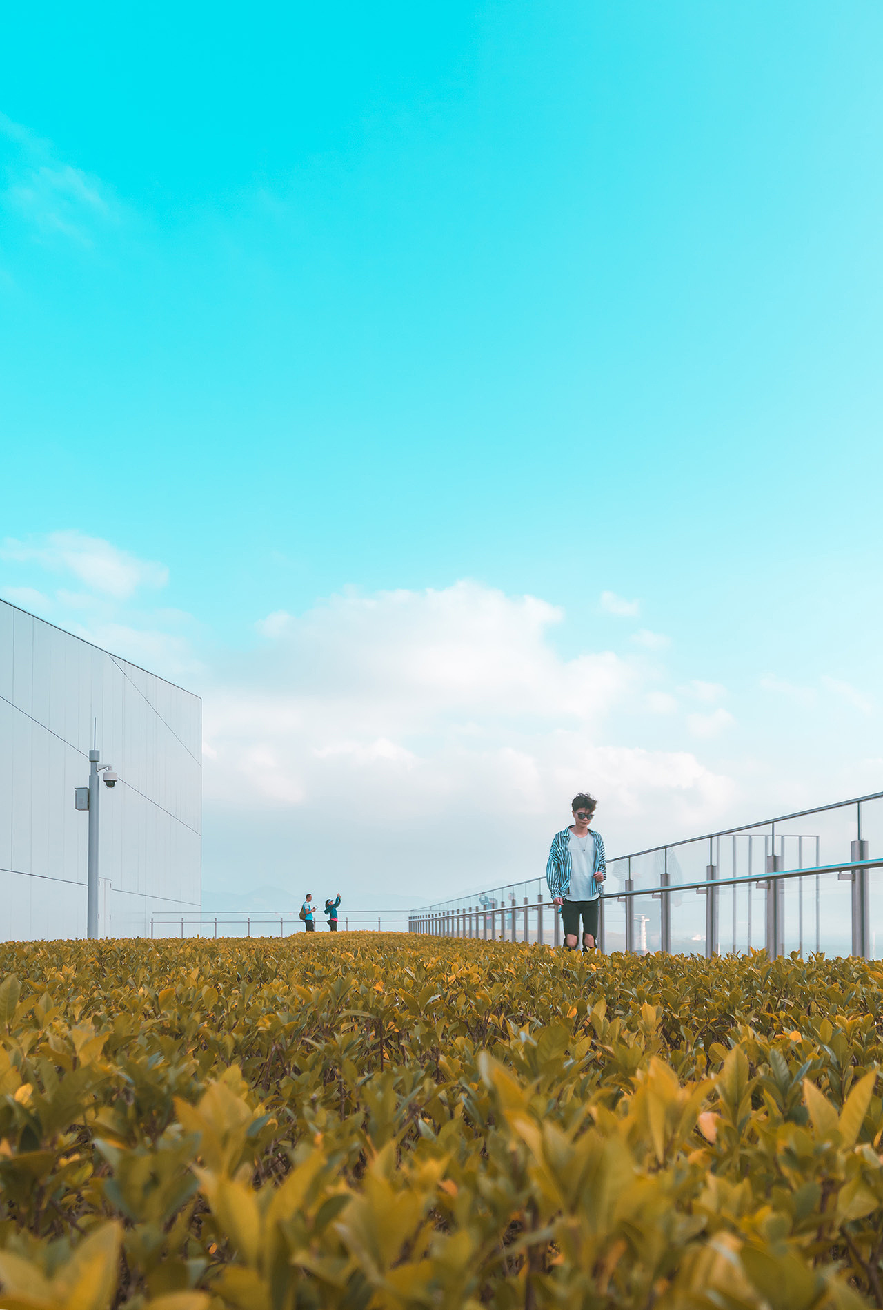 海上世界丨春节瞎逛游玩摄影(二)