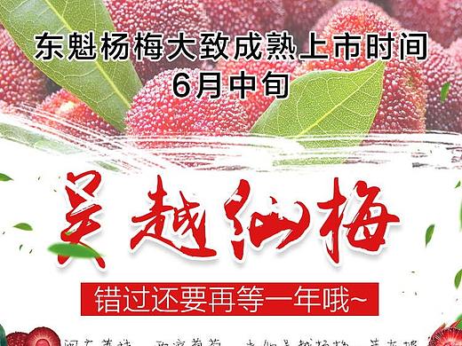 解忧兔设计东魁杨梅详情页案例
