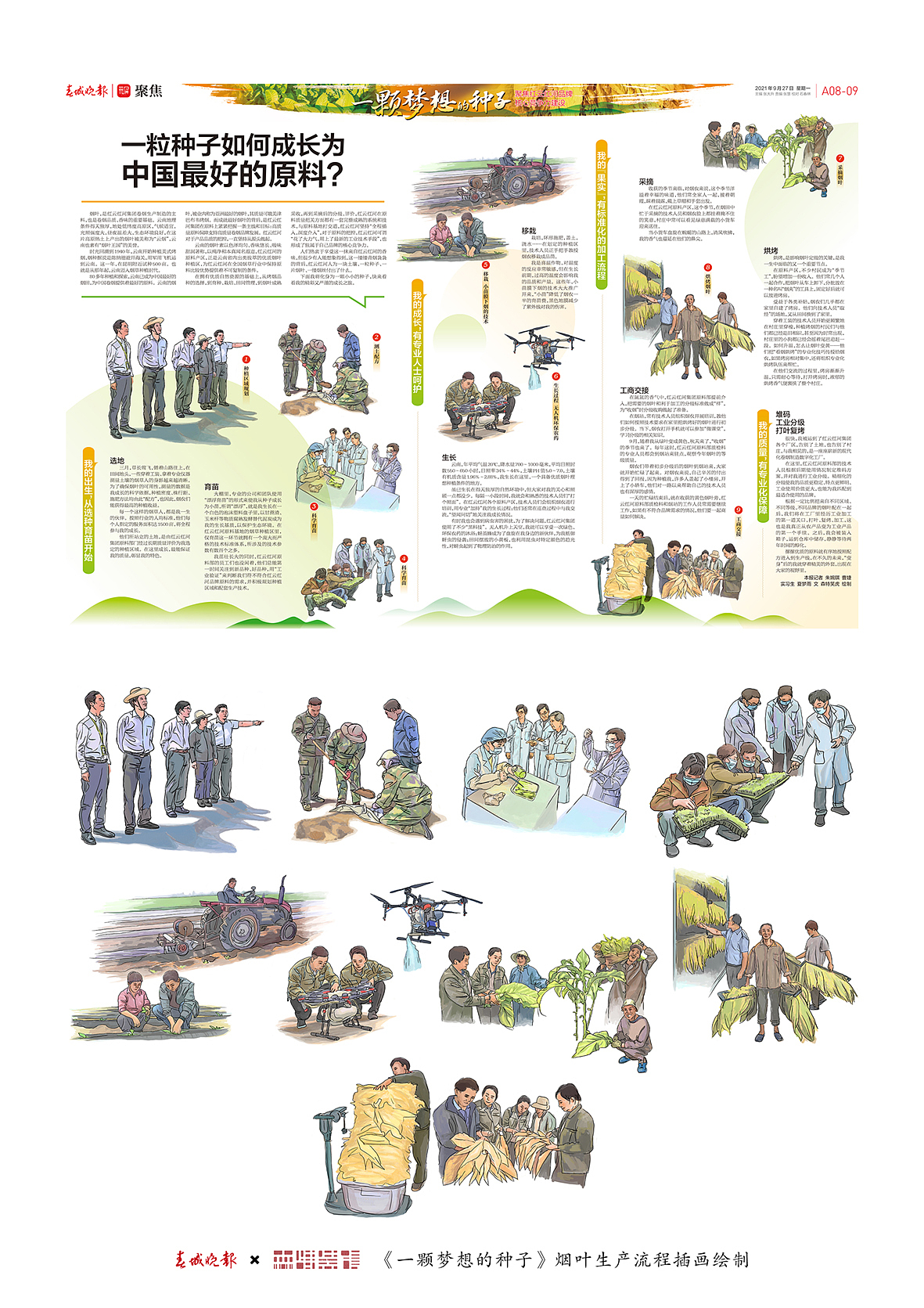 《一颗种子的梦想》登报专刊系列插画绘制（图ZMjg1NzU5ODY0） - 商业插画 - 站酷设计师森特笑虎原创素材 - 站酷ZCOOL