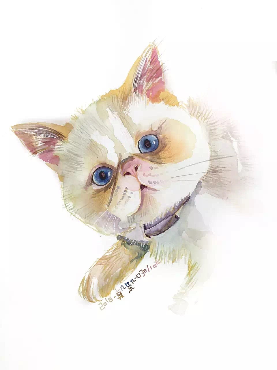 #存图# 没完成的100只猫（图ZMTc0MDM1OTcy） - 创作习作 - 站酷设计师汪野心原创素材 - 站酷ZCOOL