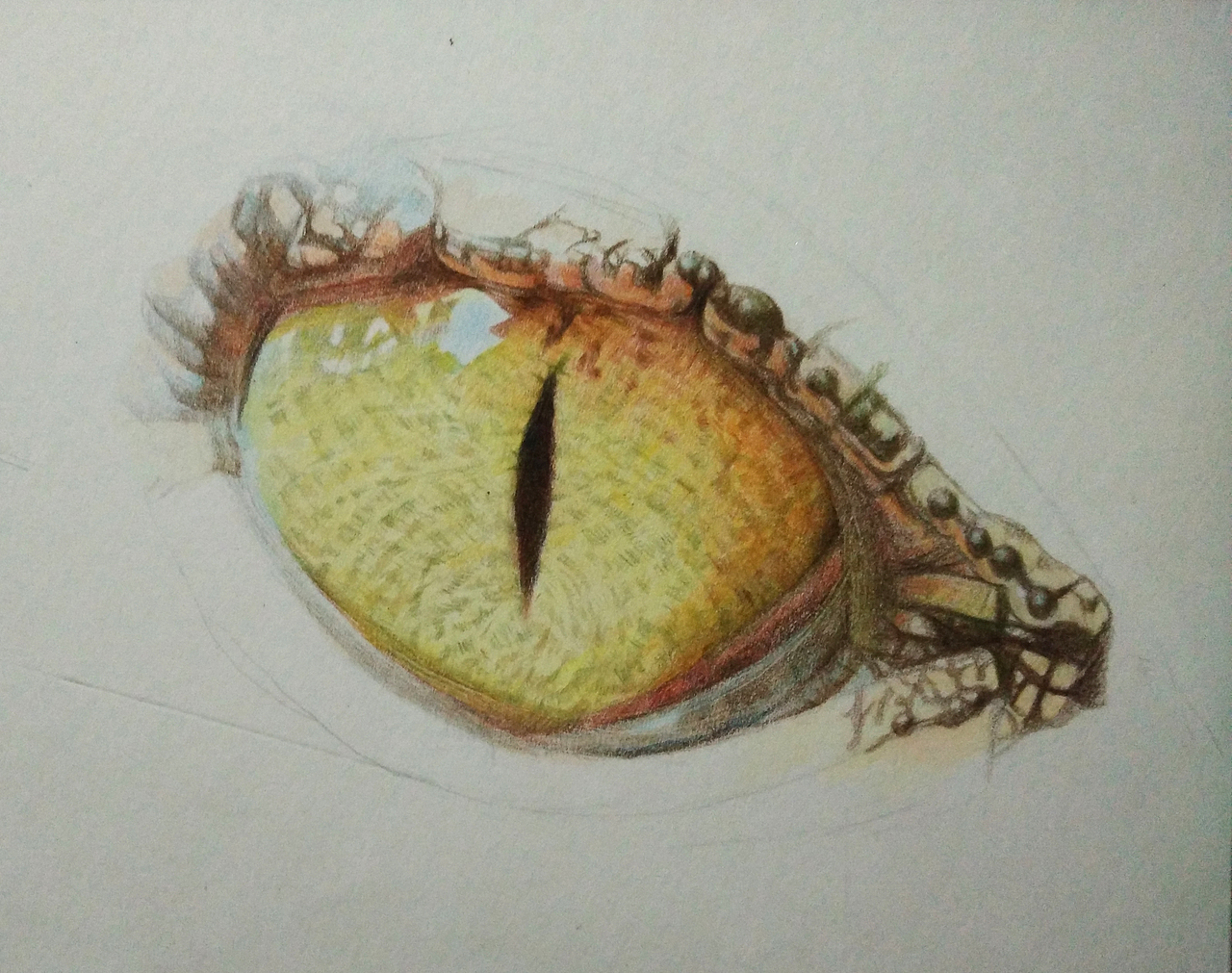 原创彩铅鳄鱼的眼睛窗