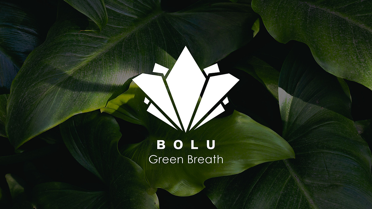 【BOLU】绿植品牌VI-Green plant design（图ZMzAzMDQxNTg4） - Logo - 站酷设计师卷卷心呀原创素材 - 站酷ZCOOL