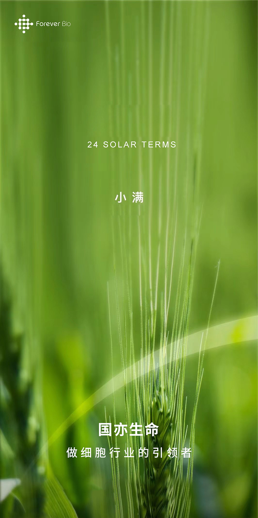 节日海报（图ZMzA2NjczOTg4） - 海报 - 站酷设计师逆向高潮原创素材 - 站酷ZCOOL