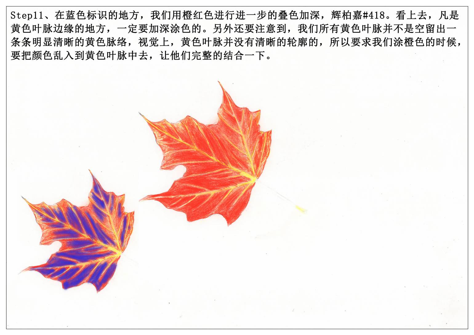 【驴大萌彩铅教程203】手绘秋天枫叶