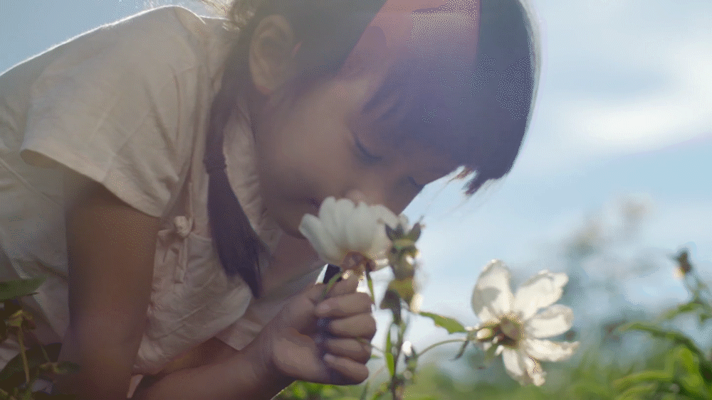 《羽西-白芍精粹》中国本草系列（图ZMjI1MDYxMzg4） - 宣传片 - 站酷设计师两个橘子工作室原创素材 - 站酷ZCOOL