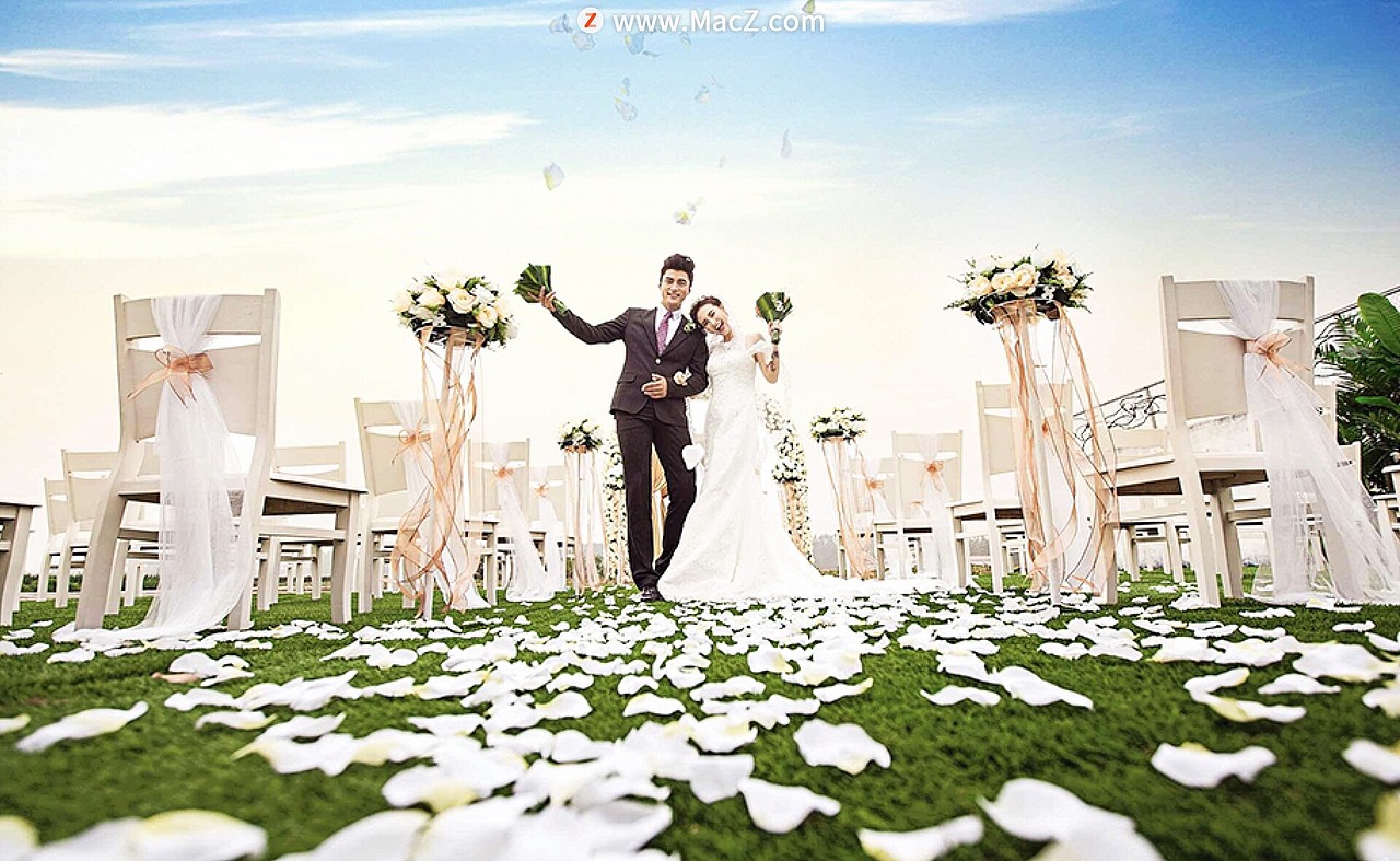 50种专业婚礼摄影调色效果luts预设