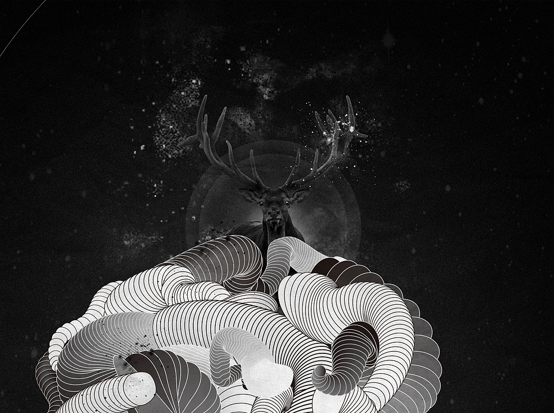 鹿（图ZMzQ1NDk2MA==） - 品牌 - 站酷设计师double_design_原创素材 - 站酷ZCOOL