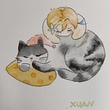 镜子兔LUNA的头像