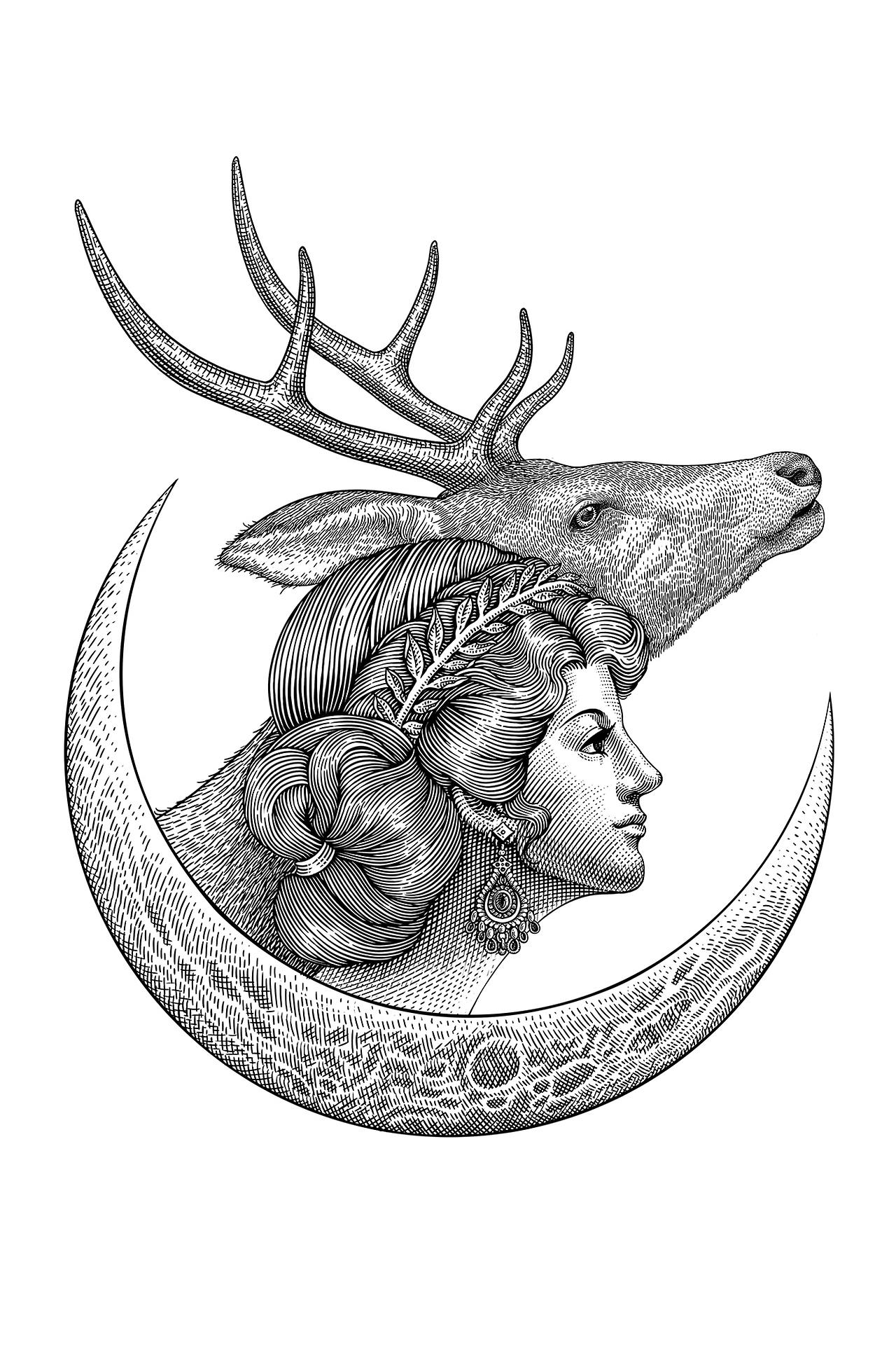 版画风格插画:阿尔忒弥斯