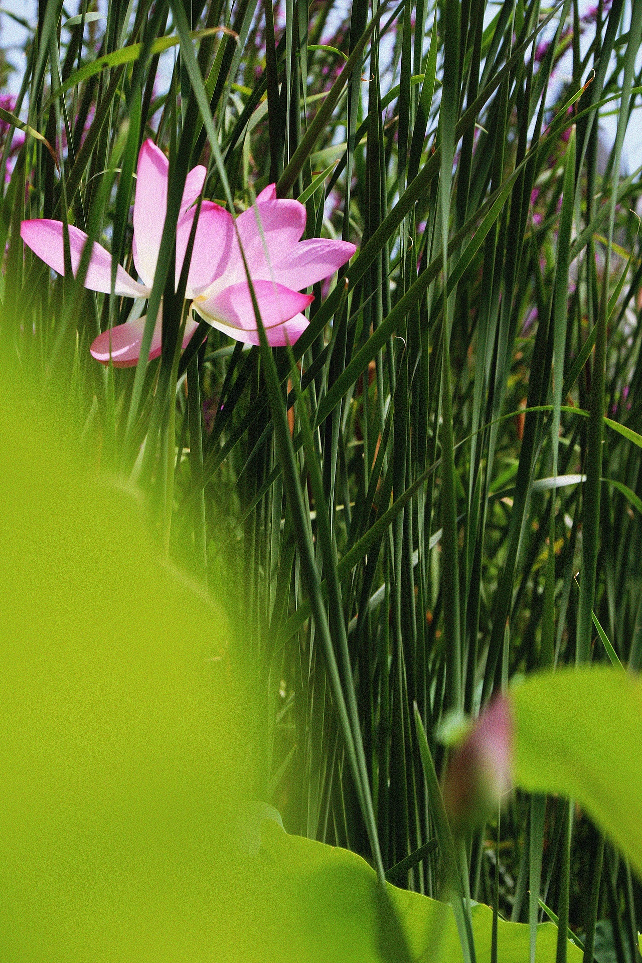 小镇（图ZMTcwMjA3Mzky） - 风光摄影 - 站酷设计师炭笔粗细原创素材 - 站酷ZCOOL