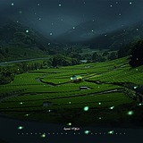 一是一aa的头像