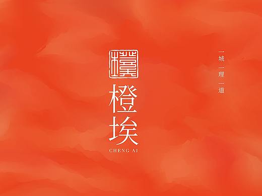 橙埃企业管理品牌形象设计