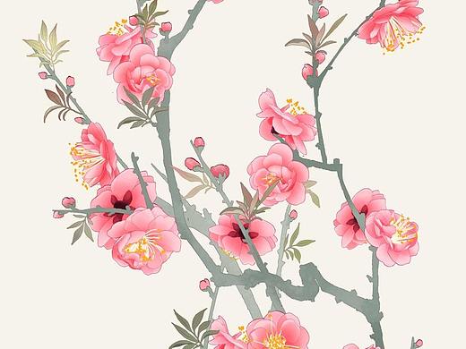 二十四番花信风 