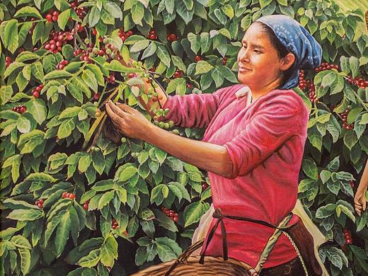 [咖啡]咖啡庄园