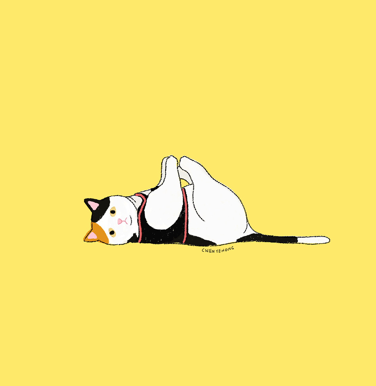 瑜伽猫咪 animal’s yoga