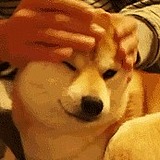 论迹的头像