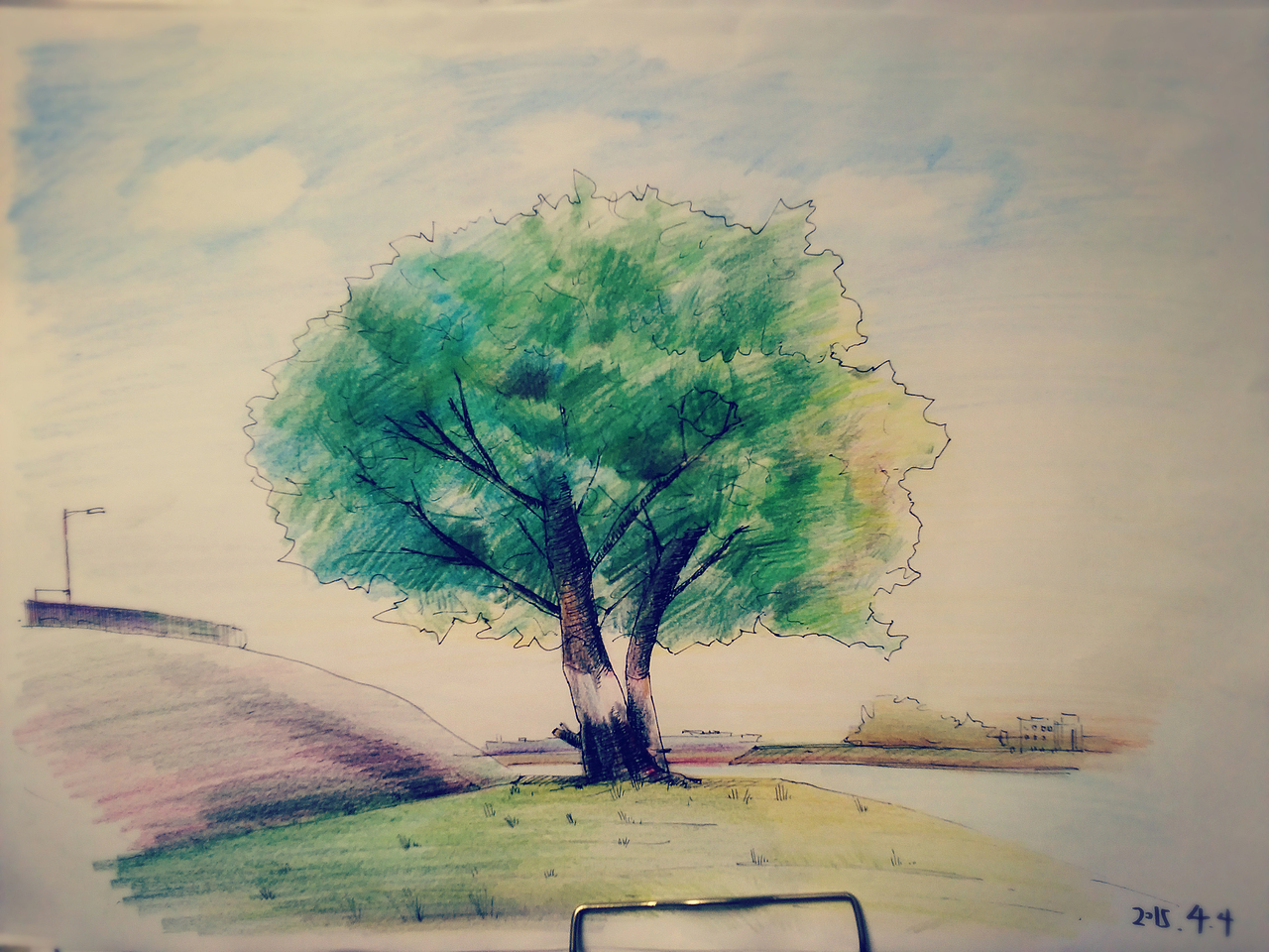 大树大树|插画|艺术插画|追风艺梦的瞳_原创作品-站酷zcool