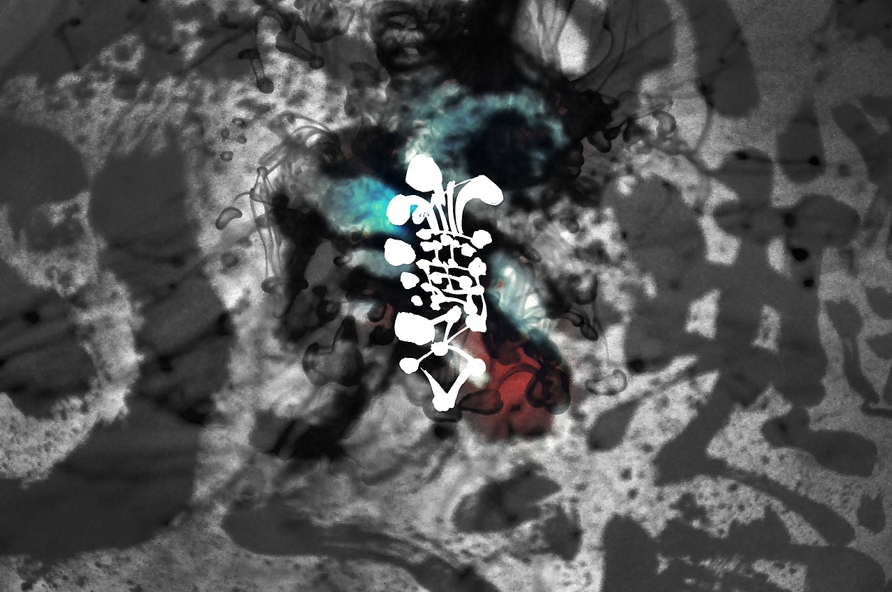 暗八仙字體實驗：《離經叛道，忿類無期》（图ZMjg0MzI5MDA=） - 实验艺术 - 站酷设计师钱赓原创素材 - 站酷ZCOOL