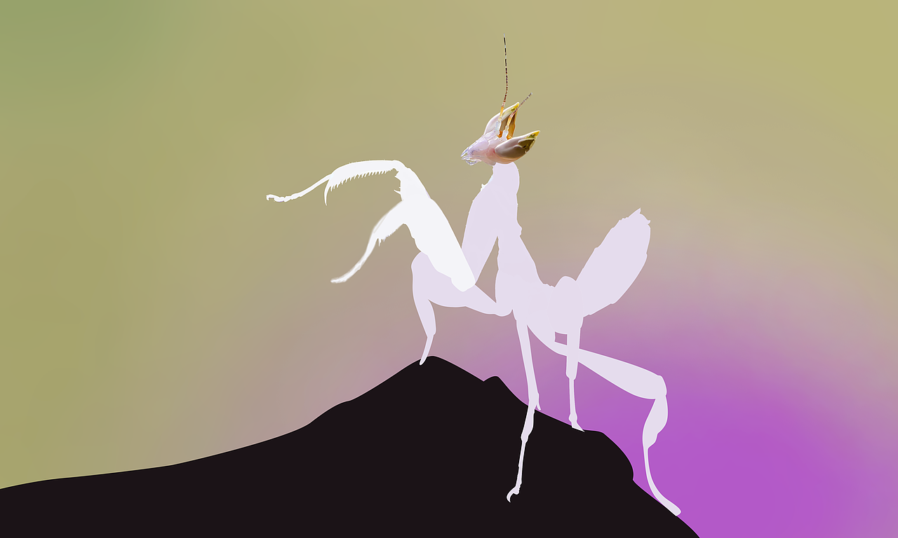 兰花螳螂（图ZMTU3NzU0MDY0） - 创作习作 - 站酷设计师芝麻不开花原创素材 - 站酷ZCOOL