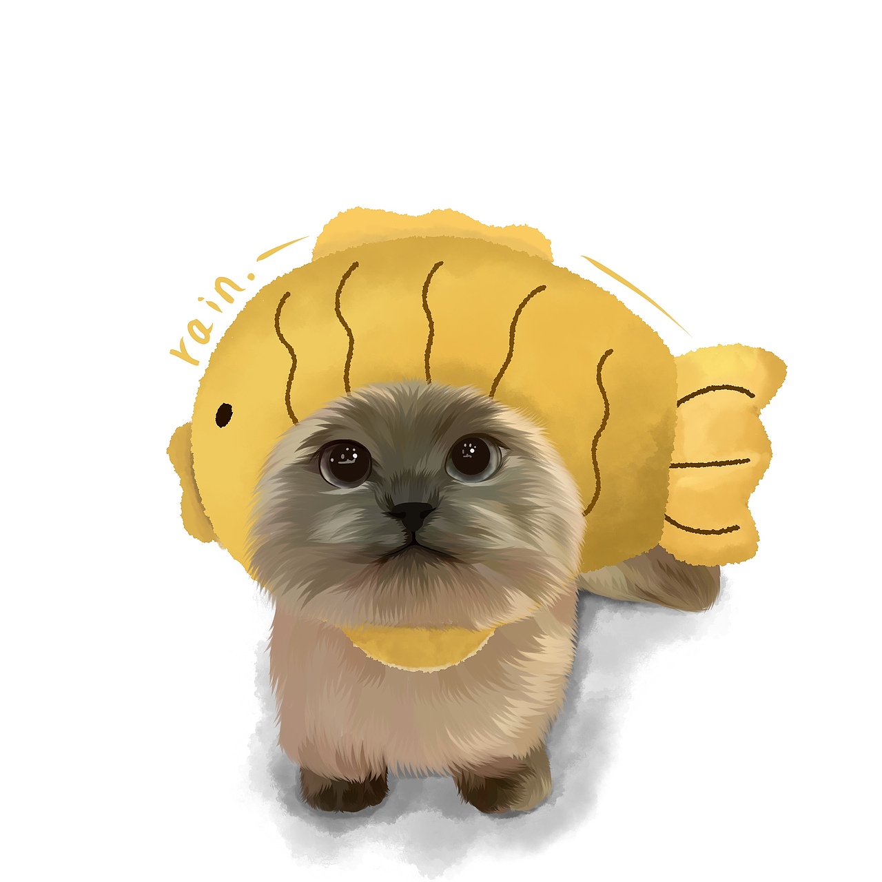 宠物画像定制|宠物周边