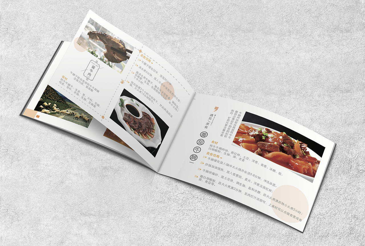 美食画册（图ZMTYyMDYxOTgw） - 书籍/画册 - 站酷设计师就是芬达啊原创素材 - 站酷ZCOOL