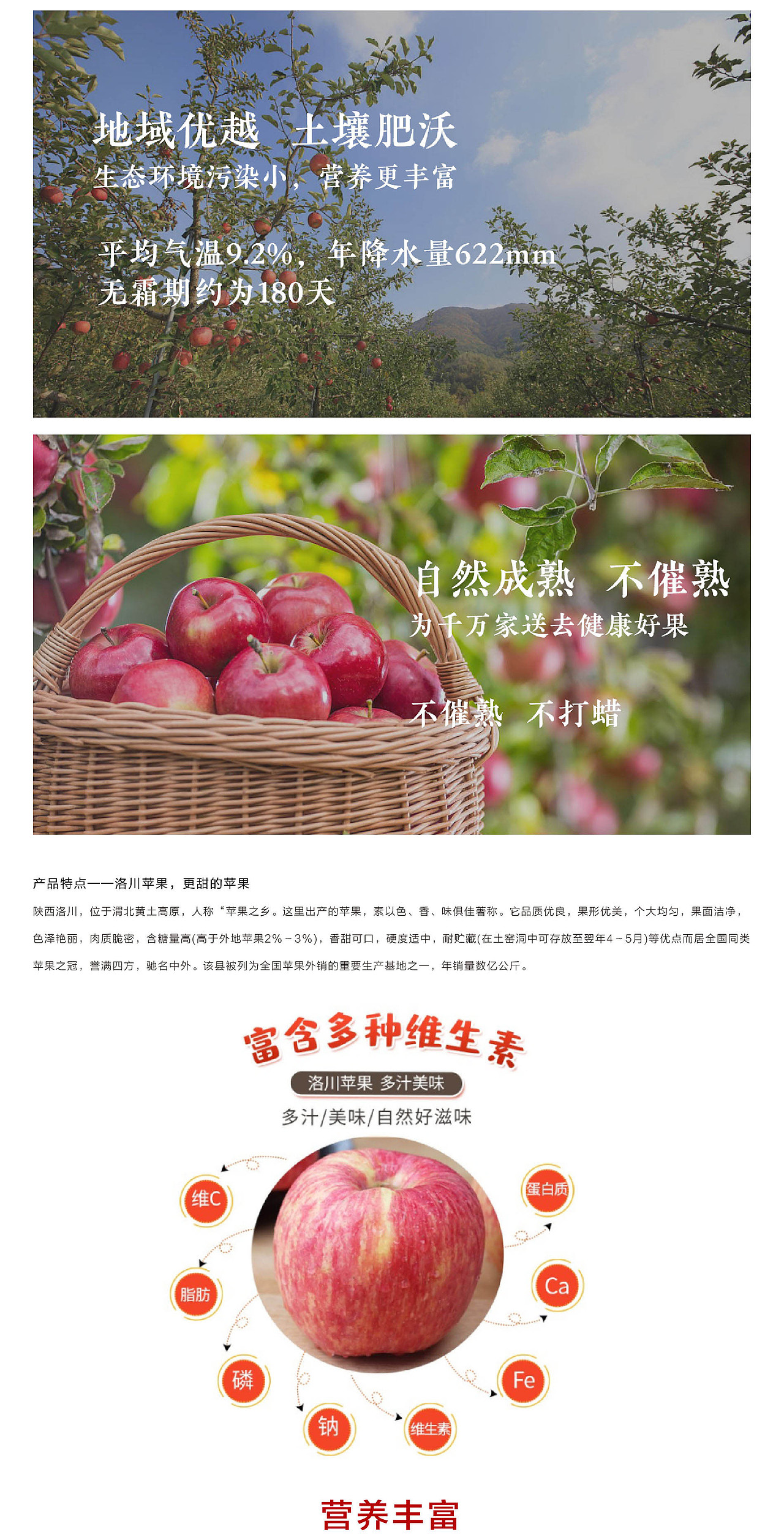 老东西16°8品牌全案服务（图ZMjQwMzA1NTI4） - 品牌 - 站酷设计师红动中国品牌策划原创素材 - 站酷ZCOOL