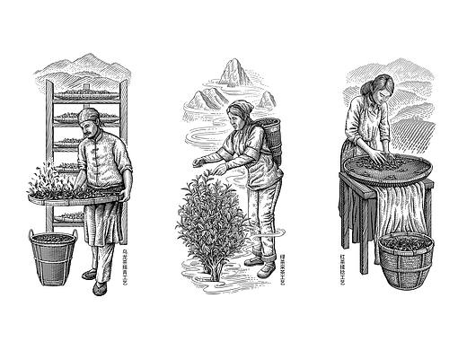 手绘插画让茶·高山茶版画风格包装