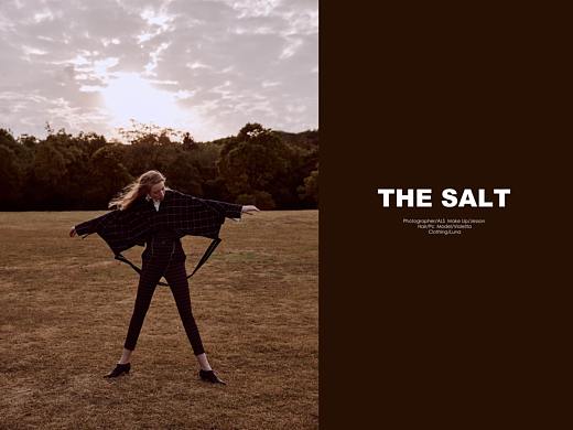 THE SALT