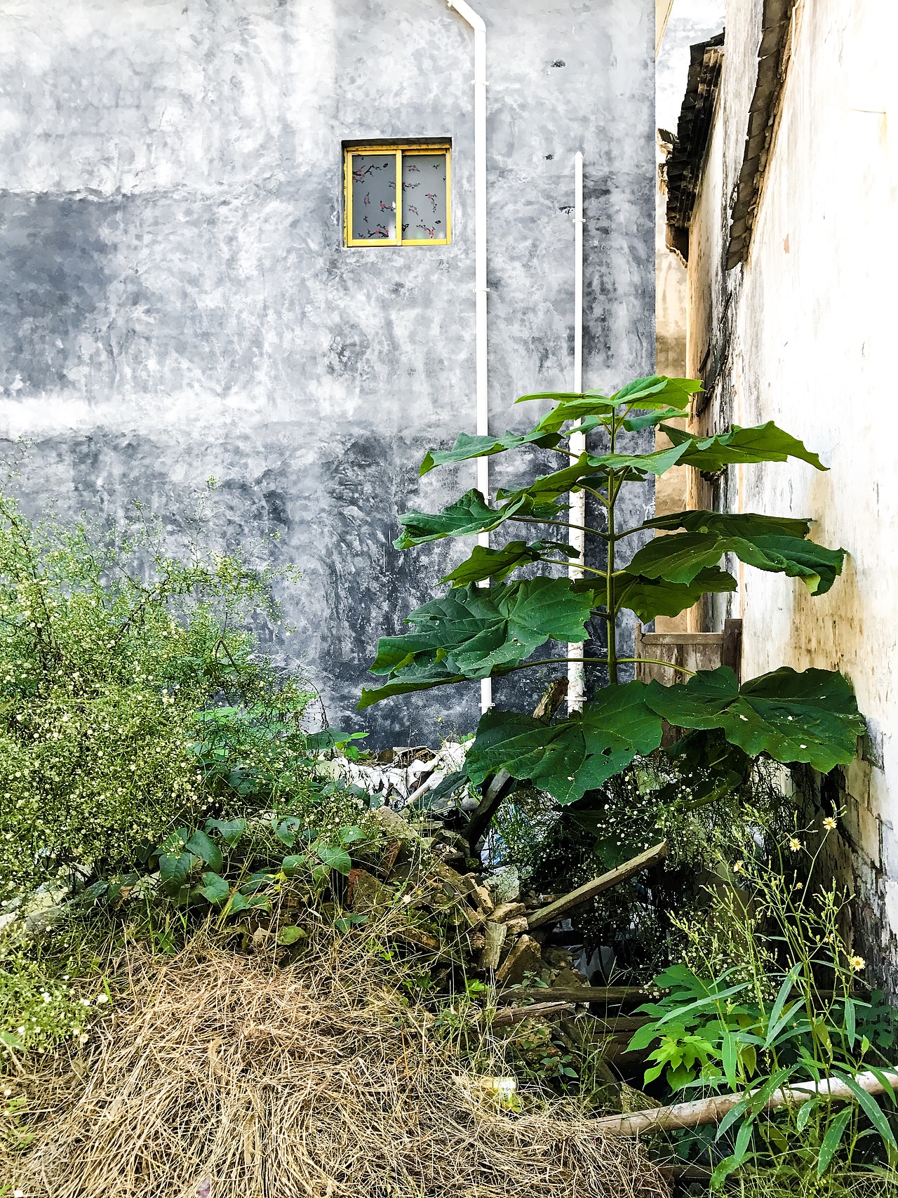 那个熟悉的 记忆中的你