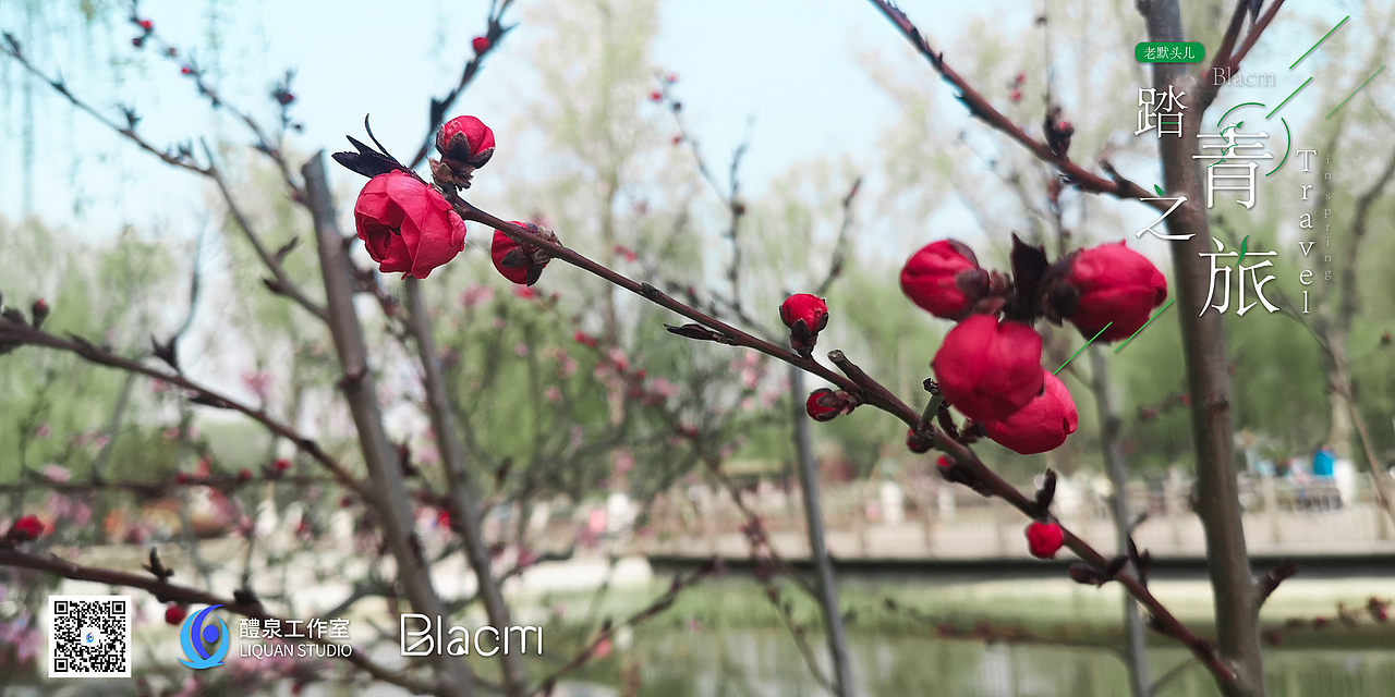 Blacm的踏春之旅（图ZMjA0NTIyMjk2） - 风光摄影 - 站酷设计师Blacm原创素材 - 站酷ZCOOL